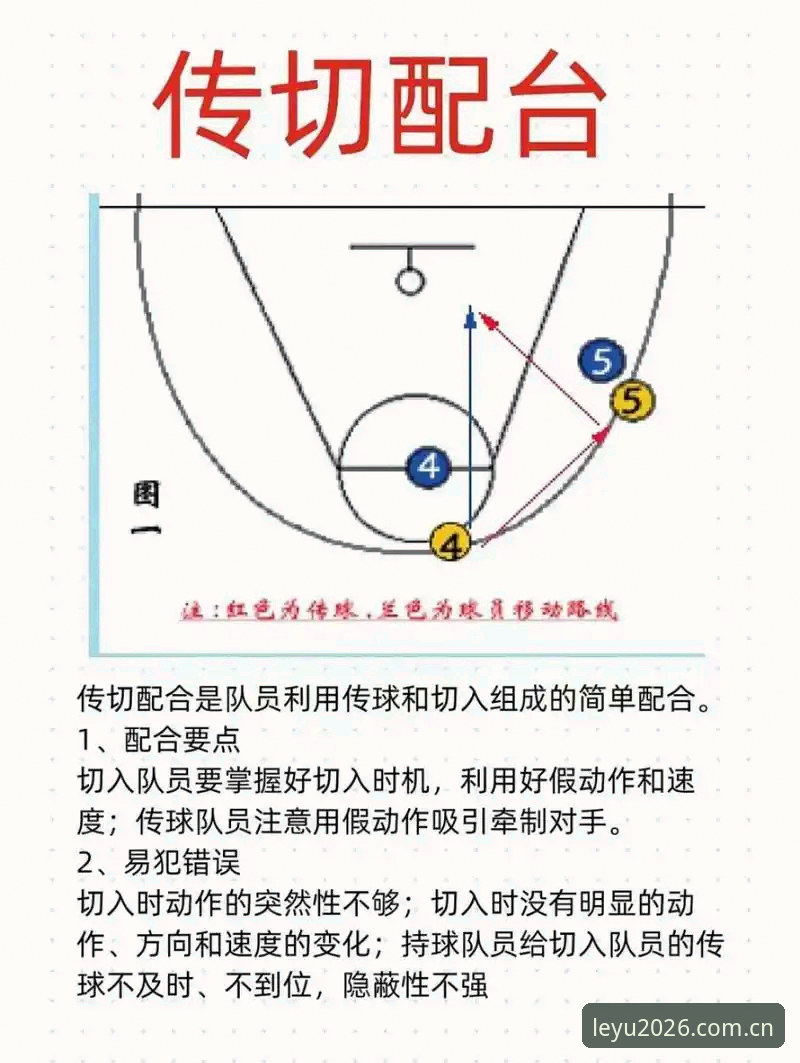 乐鱼APP体育爱好者 乐鱼体育官网高效观赛实用指南——体育爱好者的必备技巧
